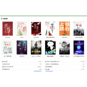小说完整源码