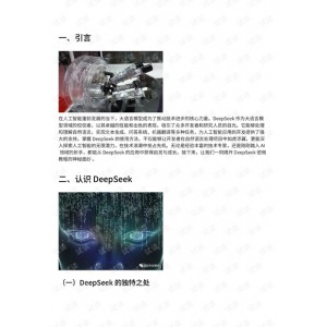 DeepSeek从入门到精通：大语言模型技术及其应用指南